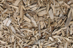 biomass boilers Lilliput