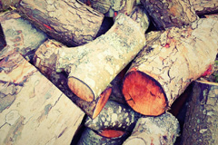 Lilliput wood burning boiler costs